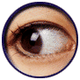 eye_clear.gif (16194 bytes)