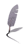 feather_quill_md_wht.gif (4962 bytes)